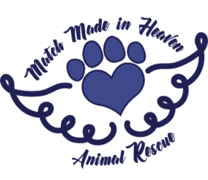 https://rrdog.org/wp-content/uploads/2020/05/Match-Made-in-Heaven-Animal-Rescue-Logo-300x260.png