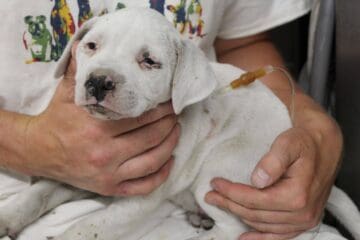 RR_Ash_Receiving_fluids