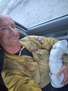 Puppy rescued from Lava Fire