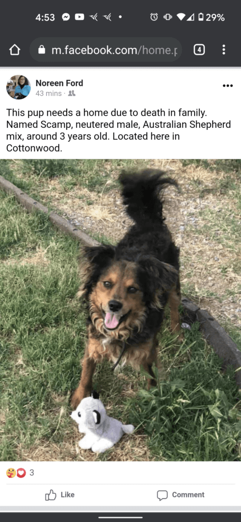 Screenshot_20210714-165311