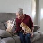 Foster senior and special needs rescue dogs