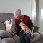 Foster senior and special needs rescue dogs