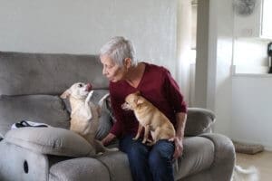 Foster senior and special needs rescue dogs