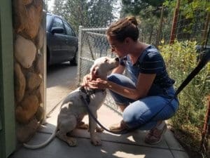 Ash the Lava Fire Pup With Rescue Ranch Foster AliCarman Carico