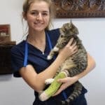 Vet Techs Who Help Treat And Save Rescue Ranch Dogs