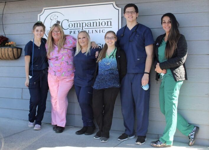 Compaion_Pet_KF_Group_shot_1 (2)