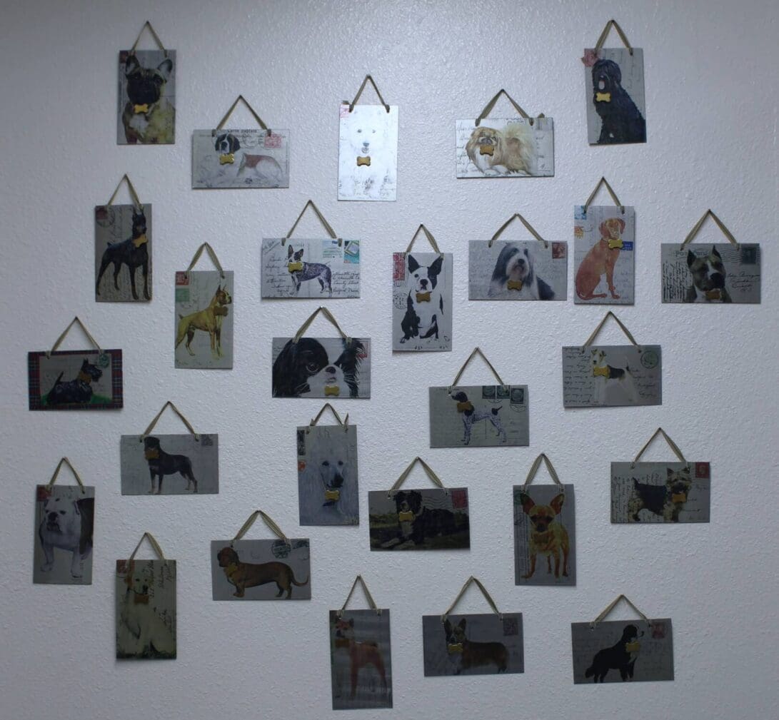 Compaion_Pet_KF_Int_5