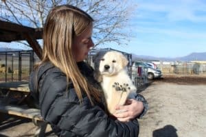 Adopt a Rescue Ranch puppy