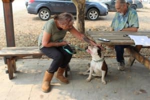 Diva, rescye Ranch Dog with volunteers