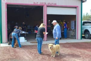 Pup-up low-cost vaccination event in Shasta Vista
