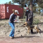 Dr. Any Fousek with dog owner at pup-up dog vaccination and licensing event