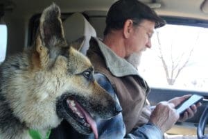 Special needs German Shepherd in the car
