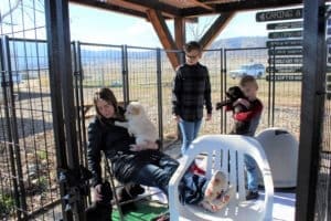 Puppies at Past Rescue Ranch Adoption Event