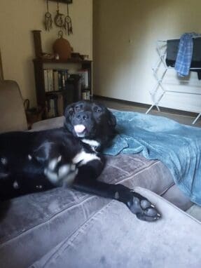 PXL_20220525_132601479_exported_735_1654993150344