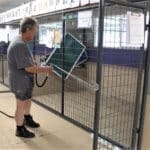 Rescue Ranch staff Cleaning kennels McKinney Fire