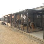 Rescue Ranch Evacuation Center during the McKinney Fire