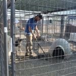 Rescue Ranch, Cleaning up after McKinney Fire dogs