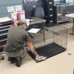 Rescue Ranch staff Cleaning kennels McKinney Fire