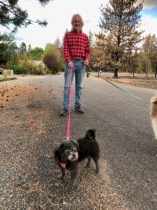 Surrendered dog, Zoie, now Rosie, on walk with her new dad Dave