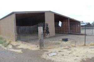 Rescue Ranch Sanctuary with bouncy dog leaping behind fence
