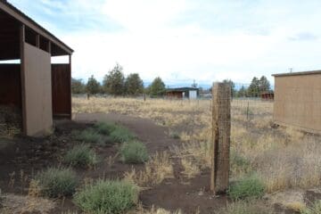 Sanctuary_Horse paddock intended for livestock use during emergencies