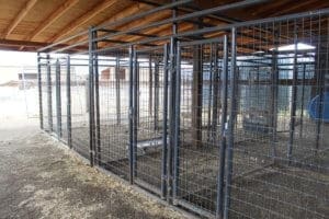 Rescue Ranch Sanctuary_kennels in covered exterior area medical building