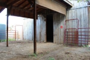 Rescue Ranch Sanctuary exterior view of of empty medical building back door