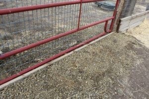 Rescue Ranch Sanctuary_reinforced horse gate with dirt , wood and gravel