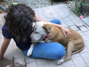 Dog Hospice Care, Spirit getting cuddles