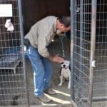 Pocket pittie, John taking Ramona out of Sanctuary Kennel 2