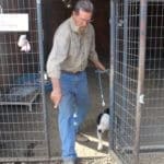 Pocket pittie, John taking Ramona out of Sanctuary Kennel 2