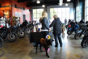 D & S Harley Davidson Pet Day, Int with Jackson the dog