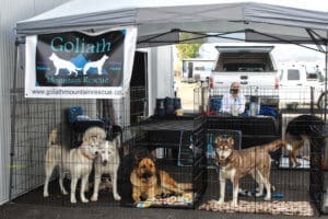 D & S Harley Davidson Pet Day, Goliath Mt Rescue Tent with huskies and shepherds