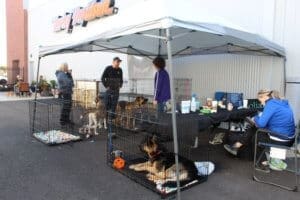 D & S Harley Davidson Pet Day, Goliath Tent