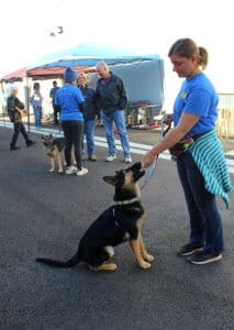 D & S Harley Davidson Pet Day, Mochi with RR staff Sidney