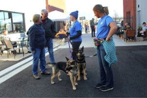 D & S Harley Davidson Pet Day, Nei L Mochi R Sidney X R Thea behind Nei and Mochi