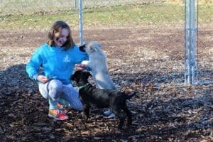 Rescue RAnch This Year, Piper volunteering at puppypalooza