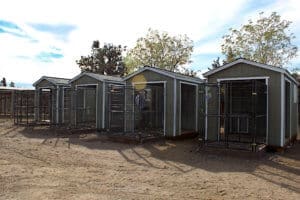 Giving Tuesday 2022, rescue Ranch Sanctuary_Four shed structures WS