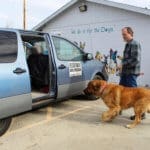 Saint Bernard, Thor getting into van