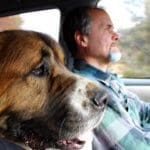 Saint Bernard, Thor, happy Rick is back in the driver's seat