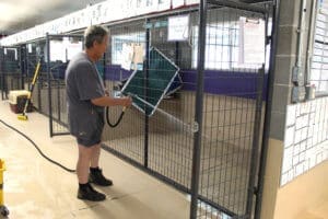 Full Capacity, cleaning indoor kennel