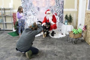 Rescue Ranch Thrift Store-dogs getting Santa Paws pictures