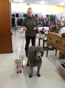 Rescue Ranch Thrift Store, Two dogs who just went to get their Santa Paws Pics