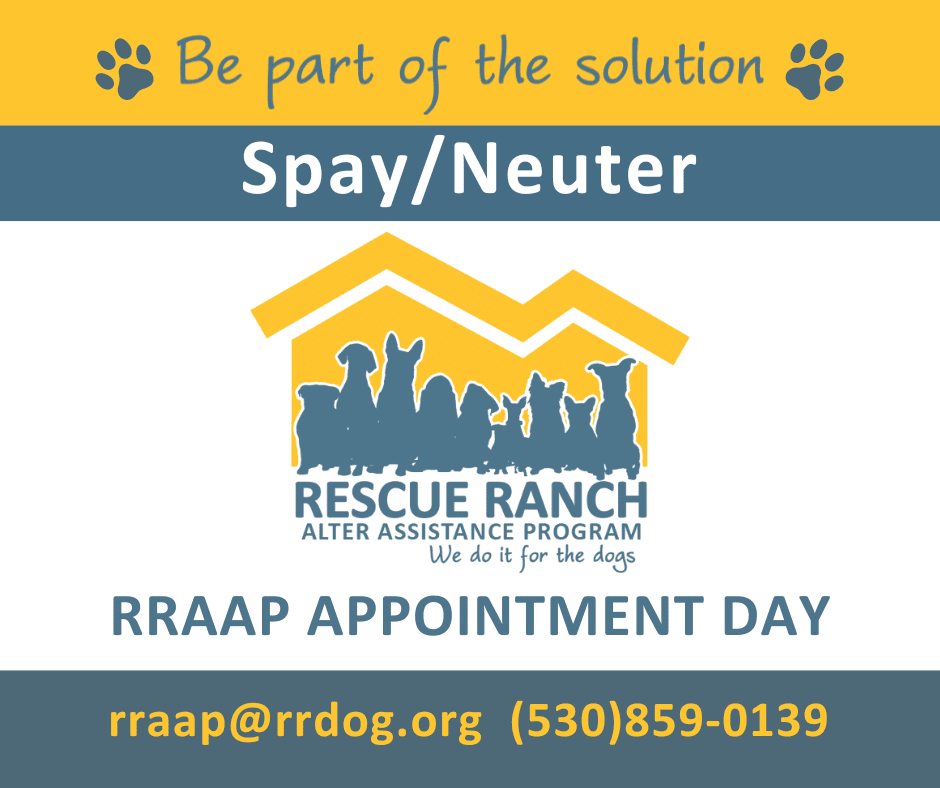 Spay Neuter, Next RRAAP Appointment Day at Rescue Ranch