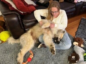 Young Husky Amputee, Atlas, cuddling with adopter Erin