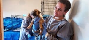 Parvo Puppies, Ali holding up parvo pup