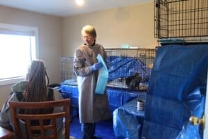 Parvo Puppies, Laura changing pee pads in Blue Room