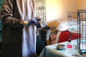 Parvo Puppies, Laura cleaning out food bowls