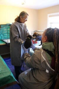 Parvo Puppies, Laura handing over Green room puppies to Lacey and Ali