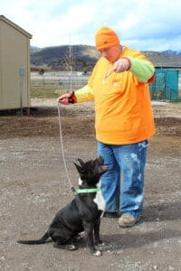 Amazing dog, Benney waiting for treat to dropBenny wait for treat to drop 2